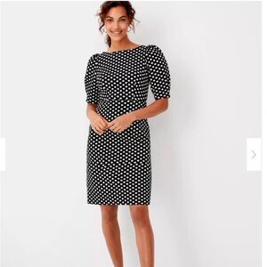NWT Ann Taylor Black & White Polka Dot Pleated Puff Sleeve‎ Sheath Dress Size 8